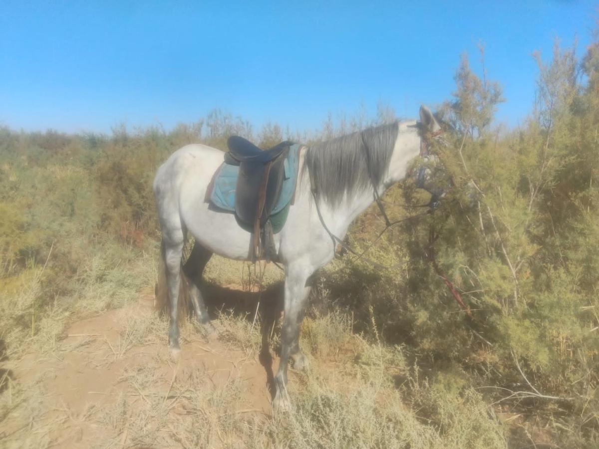 Dar Alfourssane Ferme D'Hote Uarzazate Exterior foto