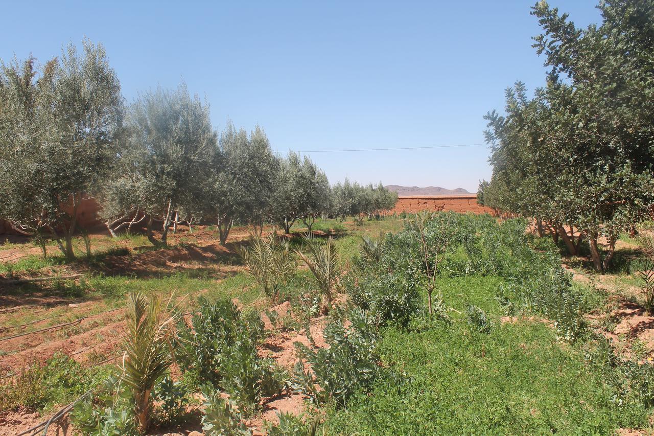 Dar Alfourssane Ferme D'Hote Uarzazate Exterior foto