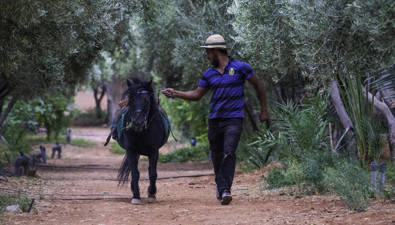 Dar Alfourssane Ferme D'Hote Uarzazate Exterior foto