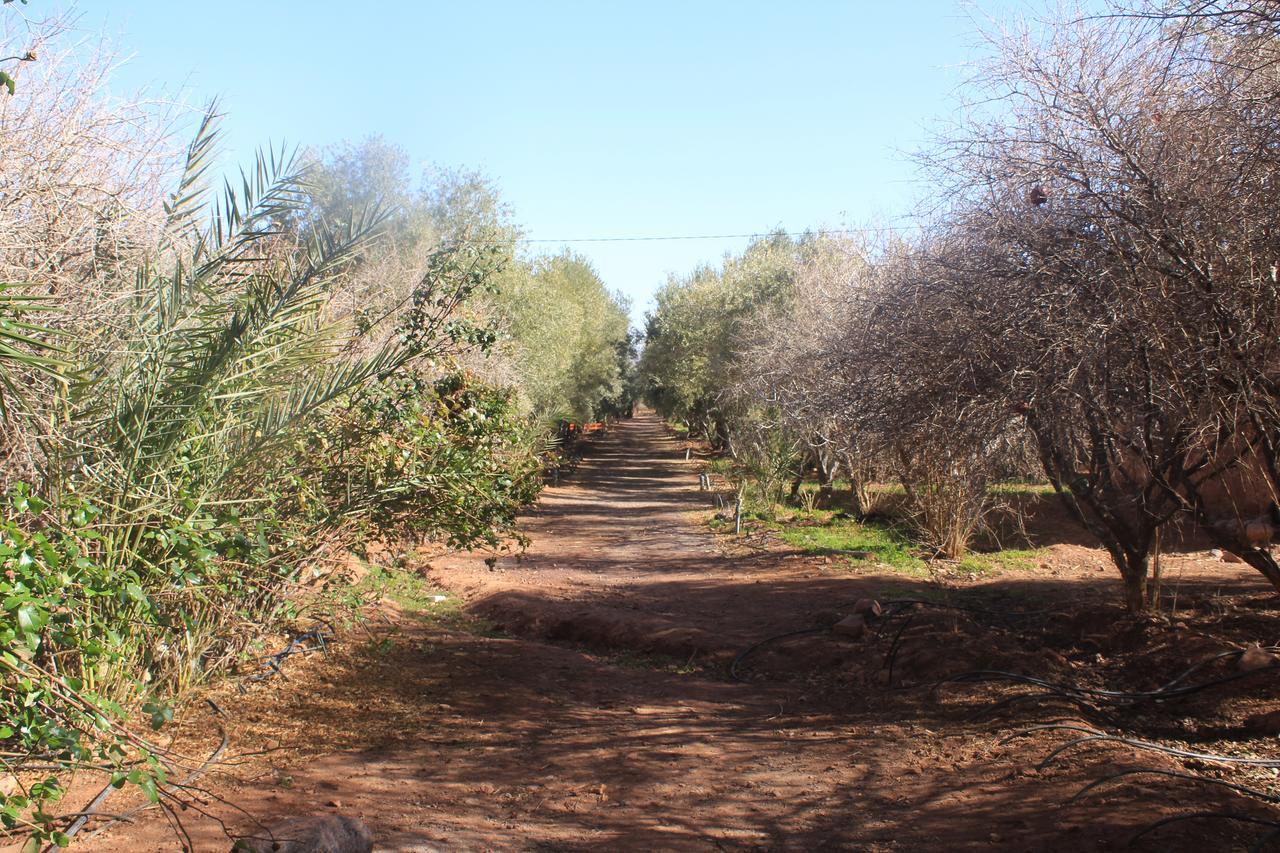 Dar Alfourssane Ferme D'Hote Uarzazate Exterior foto